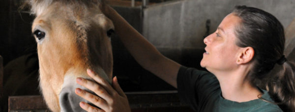 How Therapeutic Riding Assists Women Recovering from Breast Cancer